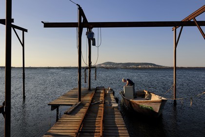 France, Hérault (34), Bouzigues, étang de Thau, exploitation conchylicole au lieu dit La Catonnière face au Mont Saint-Clair