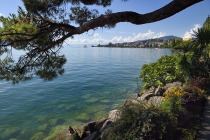 Switzerland, Canton of Vaud, Montreux, on the banks of Lake Geneva (Lac Leman), the paddle wheel Steamboat Montreux (1904) of the Compagnie Générale de Navigation sur le Lac Léman (CGN)