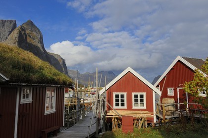 Norvège, Nordland, Iles Lofoten, ile de Moskenesoy, rorbue (maison de pêcheurs) dans le village de Reine