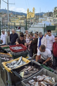 France, Haute Corse, Bastia, Terra-Vecchia district, the harbour overlooked by St Jean Baptiste Church, direct fish selling on the dock after the return of fishing