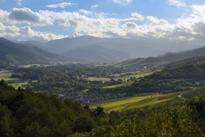 France, Haut Rhin, the Alsace Wine Route, Zimmerbach, the entrance to the Valley of Munster