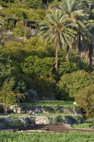 Sultanat d'Oman, Gouvernorat d'Al-Batina du Sud, Hajar occidental, Wadi Mistall, culture en terrasses au dessus du  village de Wakan (Wukan)