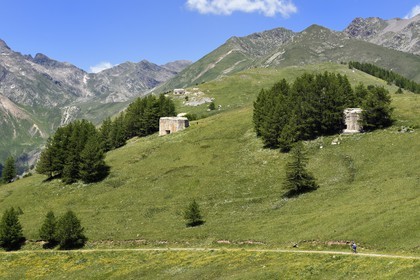 France, Alpes-Maritimes, Roya Valley, Tende region at the Baisse (pass) of Peyrefique (2028 m) and overlooking the valley Casterine, bunkers part of a fortified line on the Italian border built under Mussolini