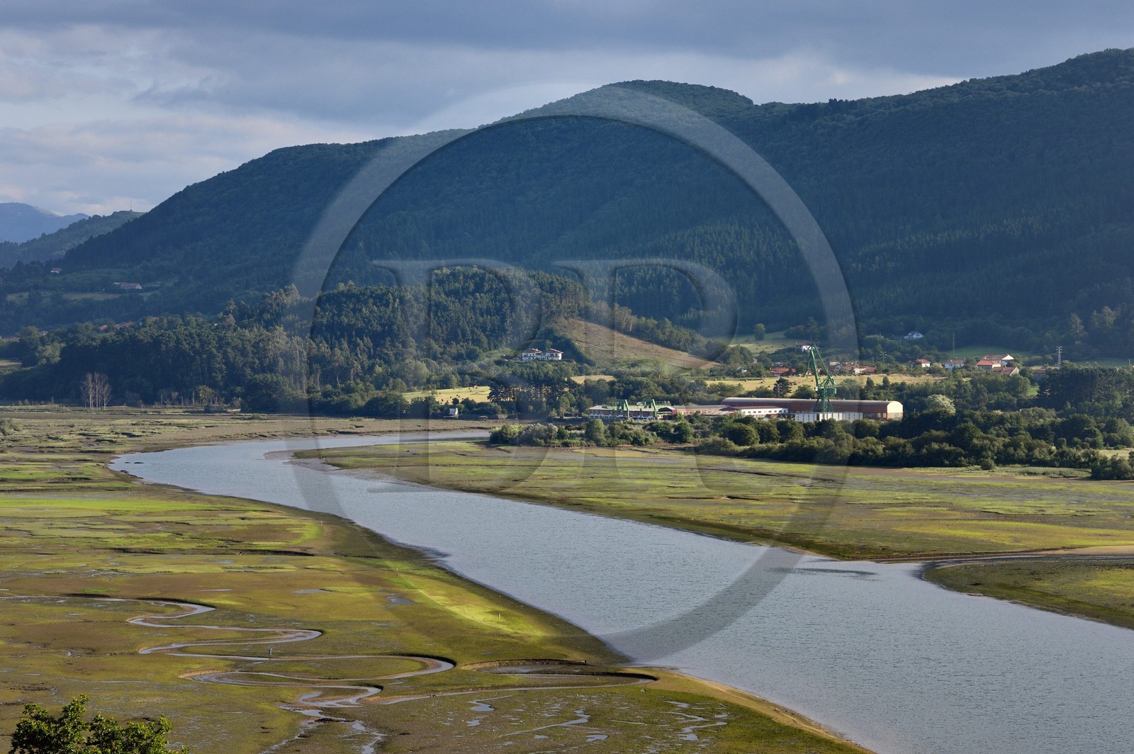 Espagne, Pays basque espagnol, Biscaye, région de Gernika-Lumo, Réserve de biosphère d'Urdaibai, estuaire du fleuve Oka à marée basse au sud de Mundaka