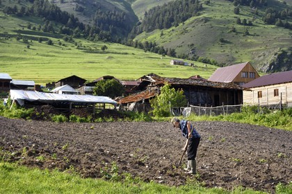 Géorgie, Kakheti, Parc national de Touchétie, village de Diklo à la frontière du Daghestan (Russie), agriculteur dans son champ