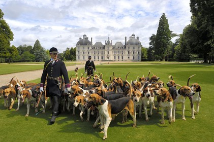 France, Loir-et-Cher (41), château de Cheverny, les piqueux Vol au Vent et La Rosée qui gèrent la meute de 90 chiens de chasse à cour