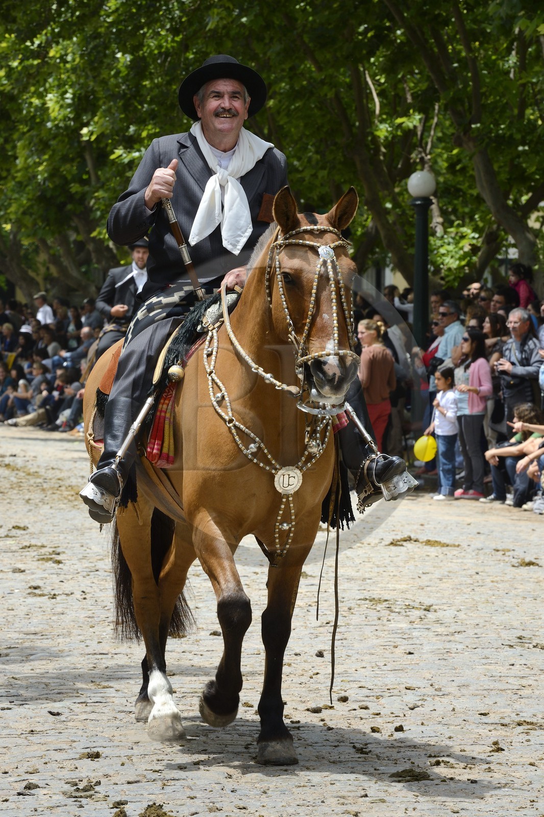 Argentine, province de Buenos Aires, San Antonio de Areco, fête du Jour de la Tradition (Dia de la Tradicion), gaucho à cheval défilant en habit traditionnel