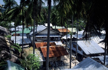 Thaïlande, Archipel de Ko Phi Phi, île de Phi Phi Don, village de Ton Sai Bay