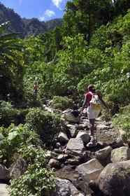 Caribbean, Dominica Island, hikers on segment 13 of the Waitukubuli National Trail in the north of the island between Pennville and Capuchin
