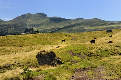 France, Cantal, France, Cantal, monts du Cantal, Parc Naturel Régional des Volcans d'Auvergne (regional nature park of Auvergne volcanoes), buron d' Eylac and Puy-Mary mount (1783m)