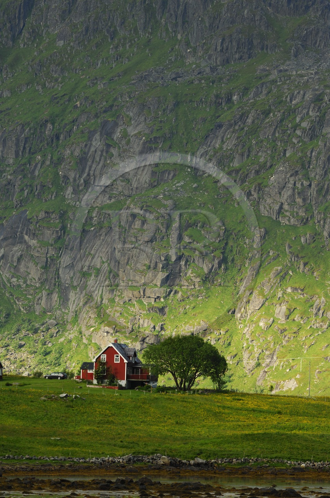 Norvège, Nordland, Iles Lofoten, Ile de Flakstad, petite ferme