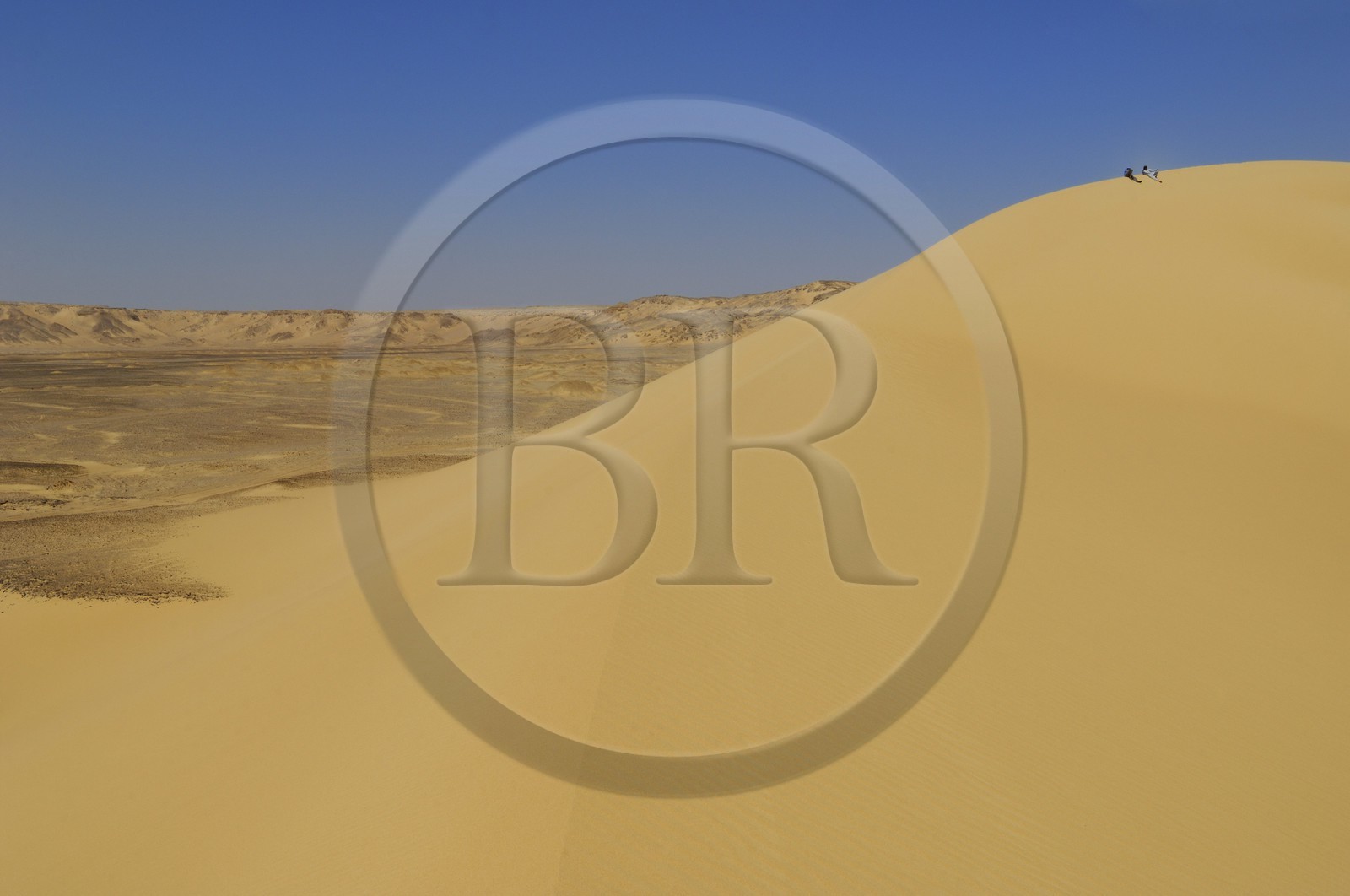 Egypte, Basse-Egypte, désert libyque, les dunes non loin de l'oasis de Bahariya (Bahareyya)