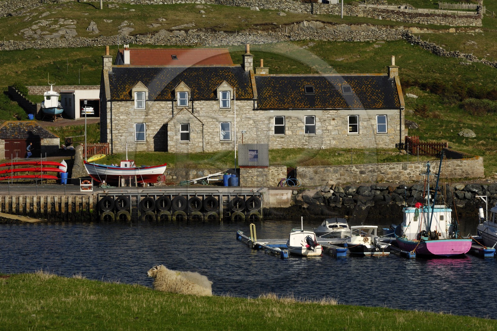 Royaume-Uni, Ecosse, les Shetland, côte ouest de Mainland, petit port sur l'île de West Burra