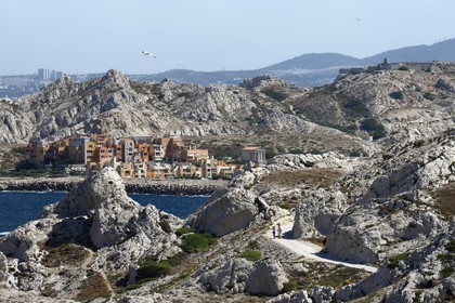 France, Bouches du Rhone, Marseille, Calanques National Park, archipelago of Frioul islands, Ratonneau island, the village of Frioul, the only track on Pomegues island in the foreground