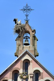 France, Haut Rhin, Eguisheim, labelled Les Plus Beaux Villages de France (The Most Beautiful Villages of France), stork feeding its young in the nest on top of the chapel of Leo IX