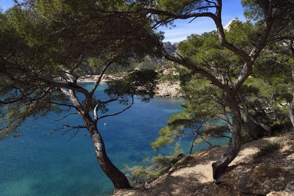 France, Bouches du Rhone, Marseille, National Park of the Calanques, Calanque de Sormiou, Calanque de Sormiou (cove)