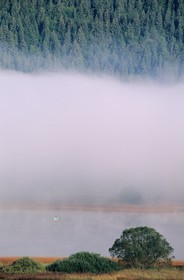 France, Doubs (25), pêcheurs sur le lac de Saint-Point dans le brume du petit matin