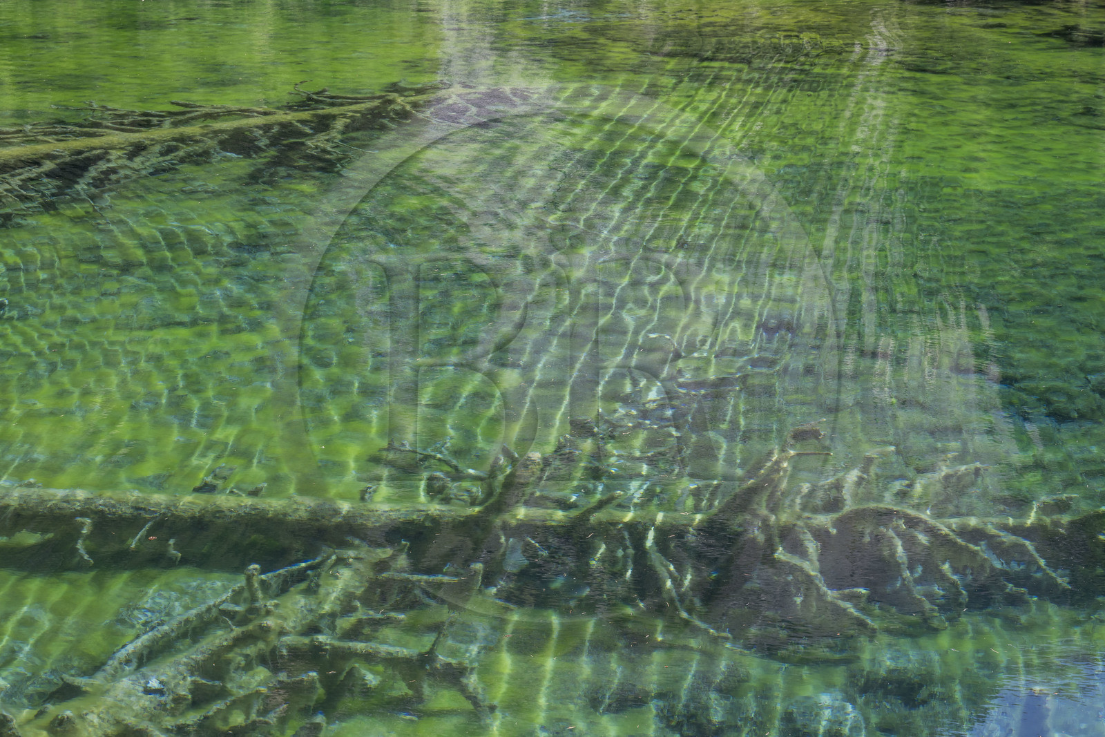 France, Hautes Alpes (05), Névache, la Vallée Étroite à la frontière italienne, le lac Vert (alt. 1834 m)