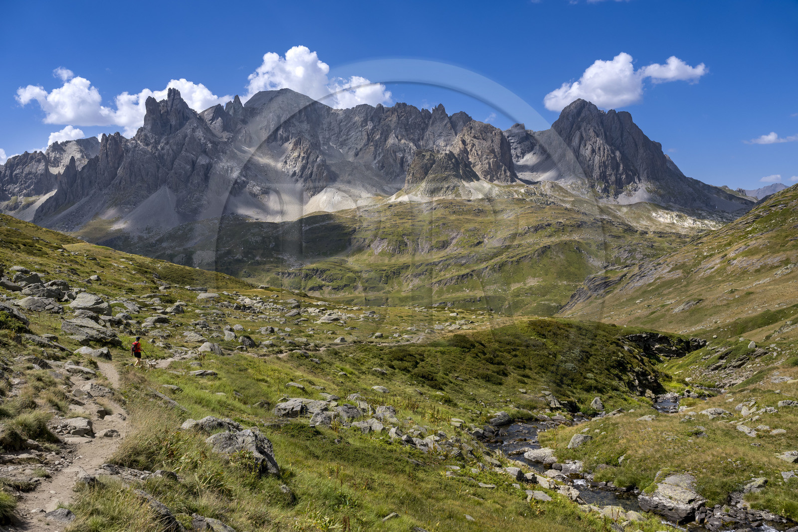 France, Hautes Alpes (05), le Briançonnais, Névache, randonneuse avec ses chiens dans la haute vallée de la Clarée, le massif des Cerces en arrière-plan