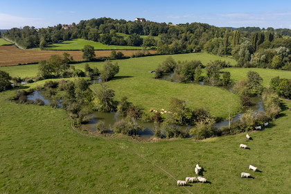 France, Yonne (89), Montréal (Bourgogne), les boucles de la rivière Serein au milieu des pré et la collégiale Notre-Dame en arrière plan (vue aérienne)