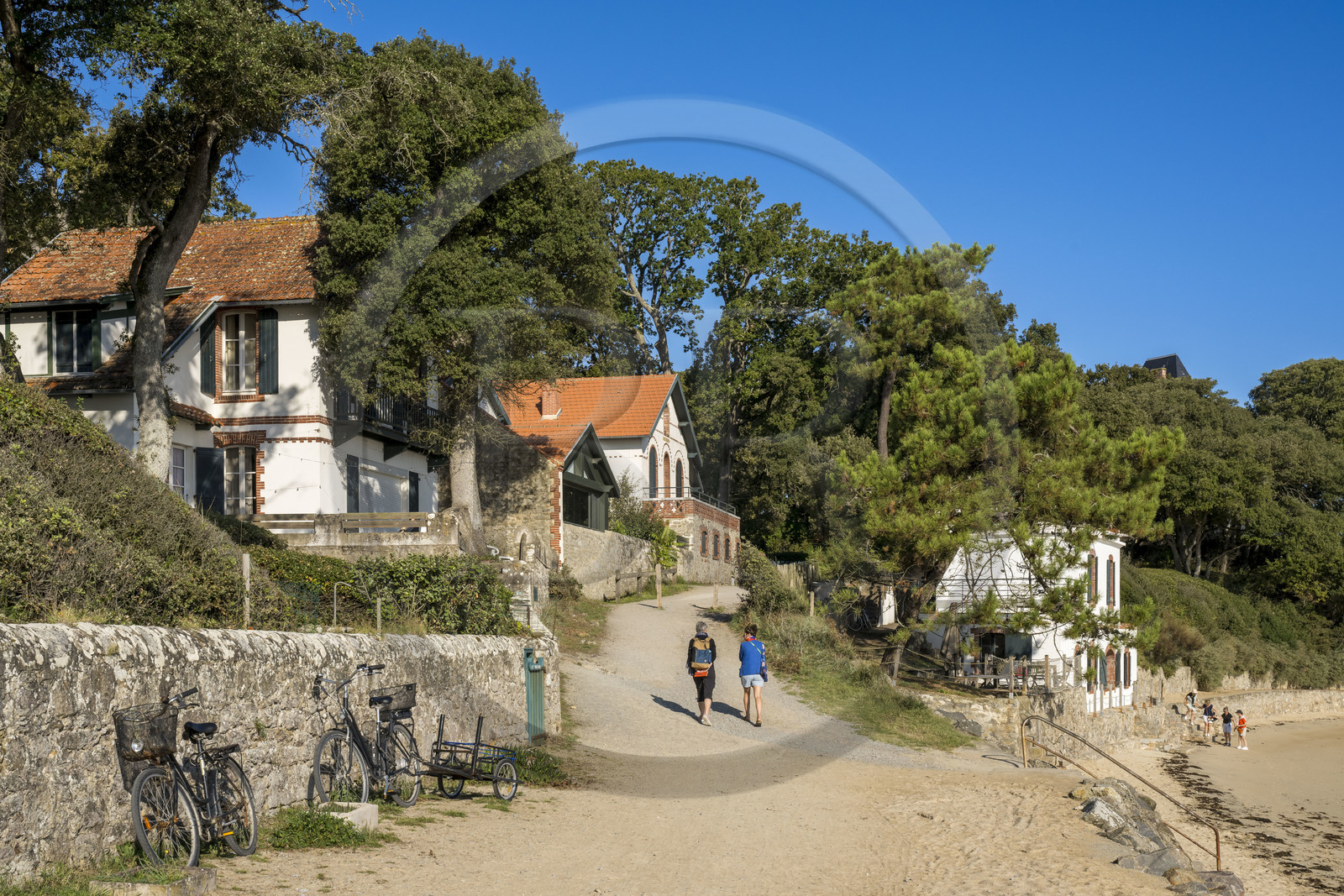 France, Vendée (85), Ile de Noirmoutier, Noirmoutier-en-l'Ile, le Bois de la Chaise, villas en bordure de la plage des Souzeaux