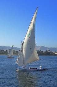 Egypte, Haute Egypte, vallée du Nil, Louxor, felouques sur le Nil