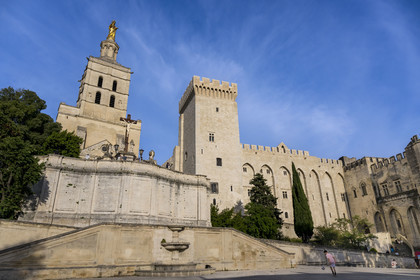 France, Vaucluse (84), Avignon, la cathédrale des Doms et le Palais des Papes classés Patrimoine mondial de l'UNESCO