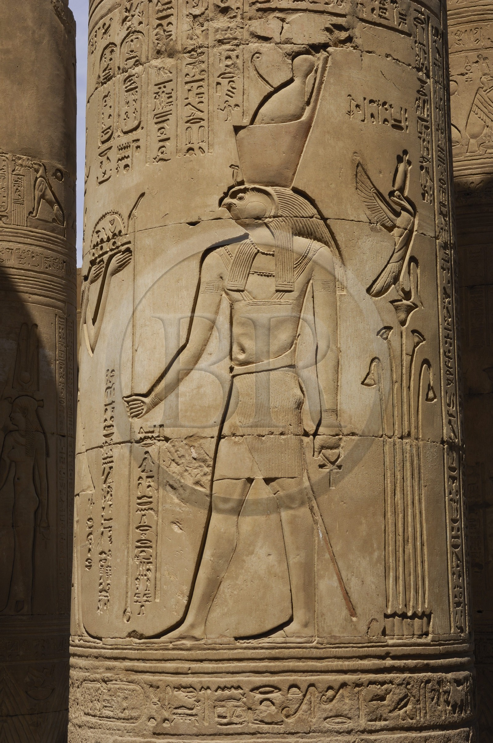 Egypte, Haute Egypte, vallée du Nil, temple de Kom Ombo dédié au dieu Sobek à tête de crocodile, bas-relief du dieu Horus