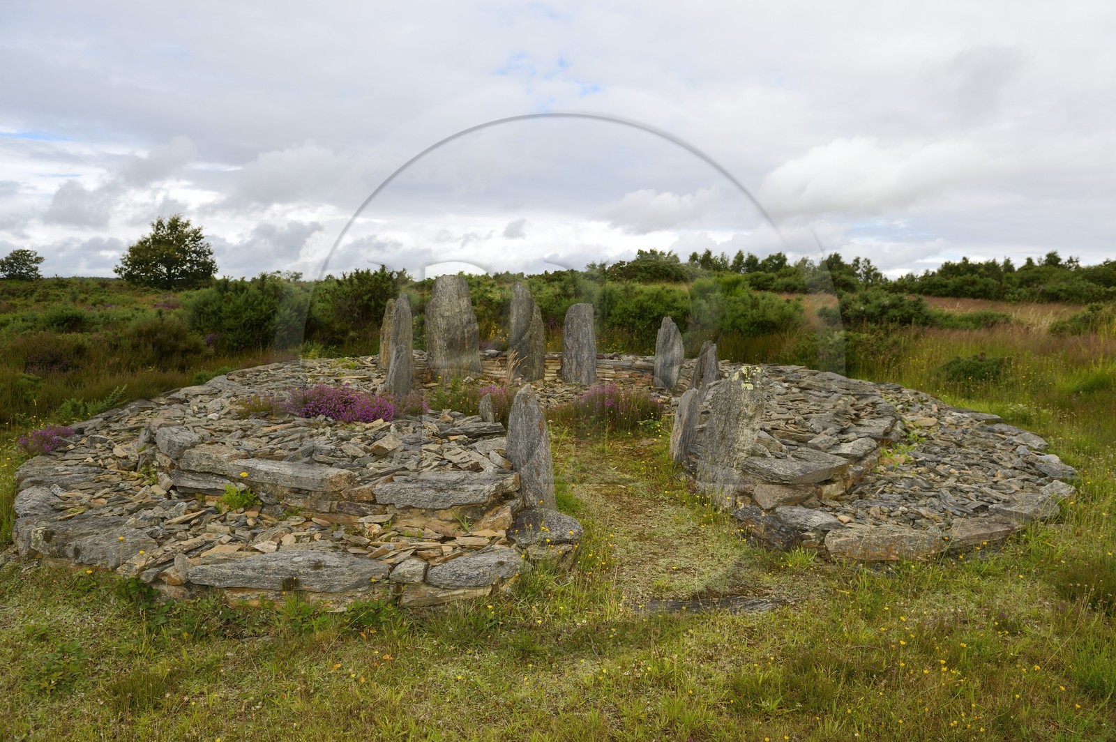 France, Ille-et-Vilaine (35), Saint-Just, monuments mégalithiques de la Lande de Cojoux, dolmen ouest de la Croix Saint Pierre