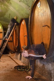 France, Bas-Rhin (67), Route des Vins d'Alsace, Mittelbergheim, labellisé Les Plus Beaux Villages de France, cave du Domaine Wittmann, l'ouvrier agricole Anthony Frey sortant de l'intérieur d'un grand fût aussi appellé foudre après son nettoyage