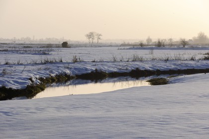 France, Manche, Cotentin, Sainte Marie du Mont, marshes of Grand Vey in winter under snow