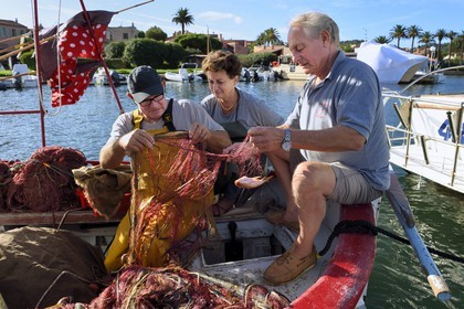 France, Var (83), Iles d'Hyères, parc national de Port Cros, Ile de Porquerolles, le quai des pêcheurs sur le port du village, le couple Martine et Jean Paul Costes sur leur bateau Le Boucanier triant la pêche du matin en compagnie de Sam le pêcheur