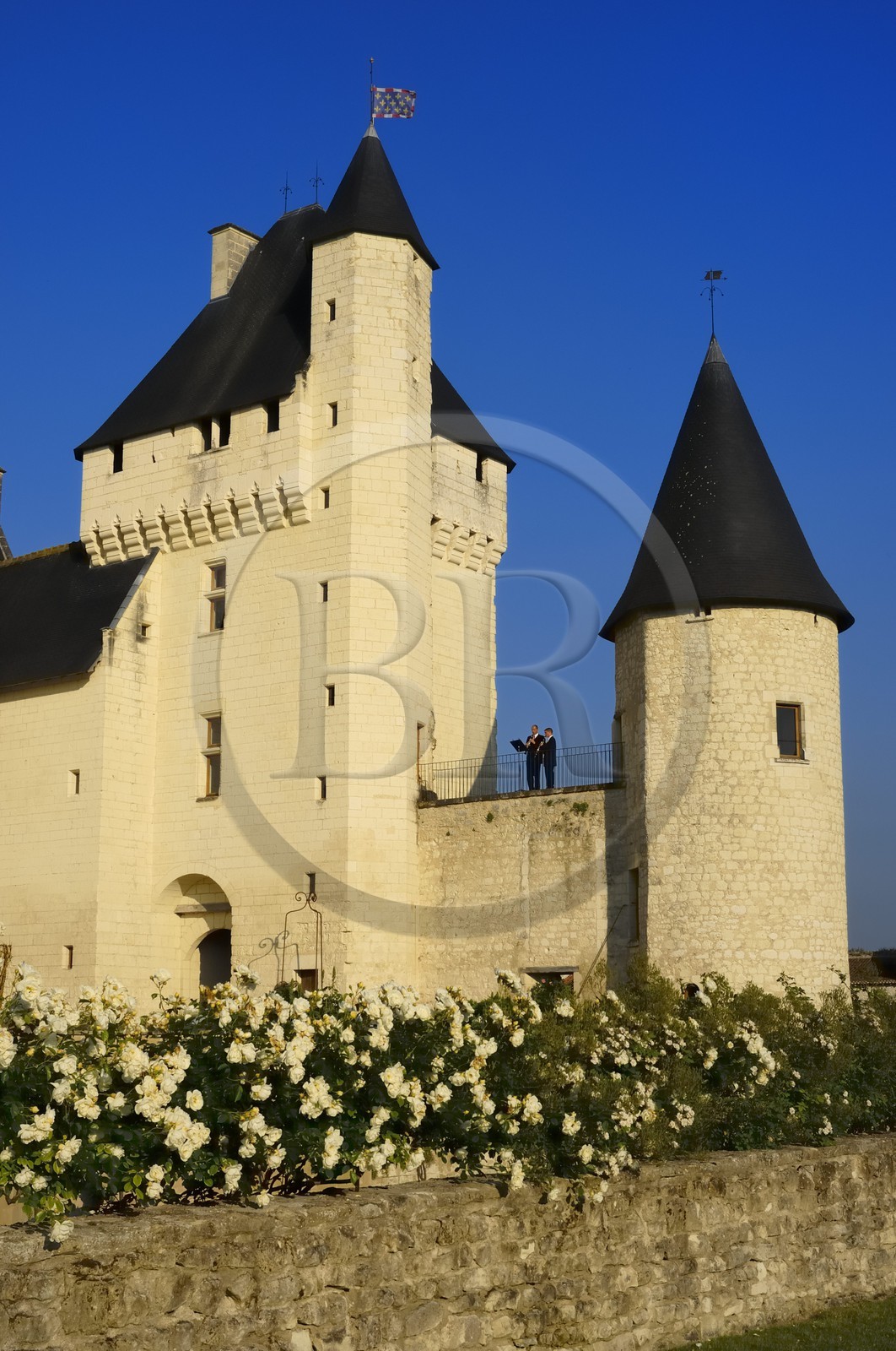 France, Indre et Loire (37), château du Rivau