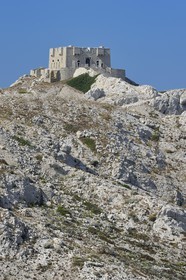 France, Bouches du Rhone, Marseille, Calanques National Park, archipelago of Frioul islands, Pomegues island, the Pomeguet tower built in 1860