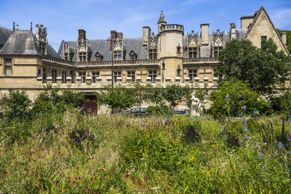 France, Paris, Musée de Cluny - Musée national du Moyen-Age (Middle Ages Museum in the former Hotel de Cluny) seen from the square of rue des Ecoles