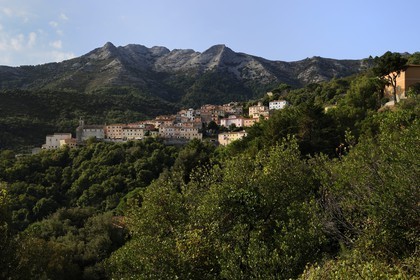 Italy, Tuscany, Elba Island, the perched village of Marciana