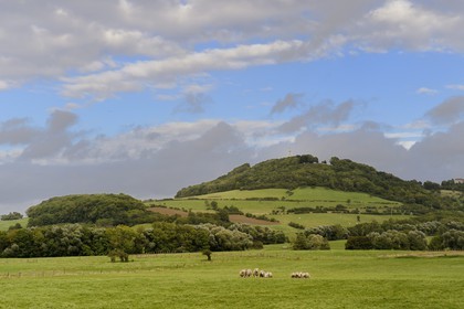 France, Meurthe-et-Moselle, Saintois region, colline de Sion-Vaudemont (hill of Sion), the Notre Dame de Sion basilica at the top of the hill