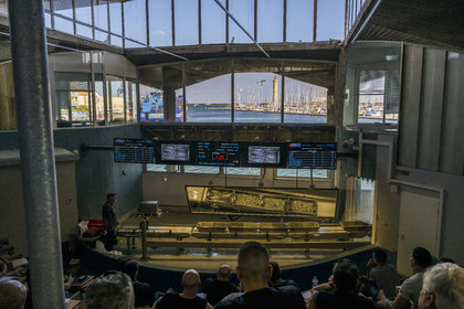 France, Herault, Sete, Fishing port, the fish auction and the mole Saint-Louis lighthouse in the background