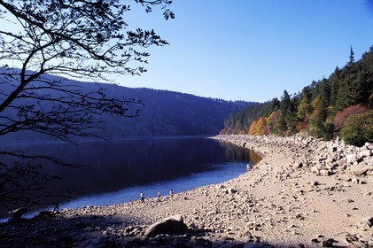 France, Haut Rhin, Vosges mountains near the Bonhomme pass, lac blanc (White lake)