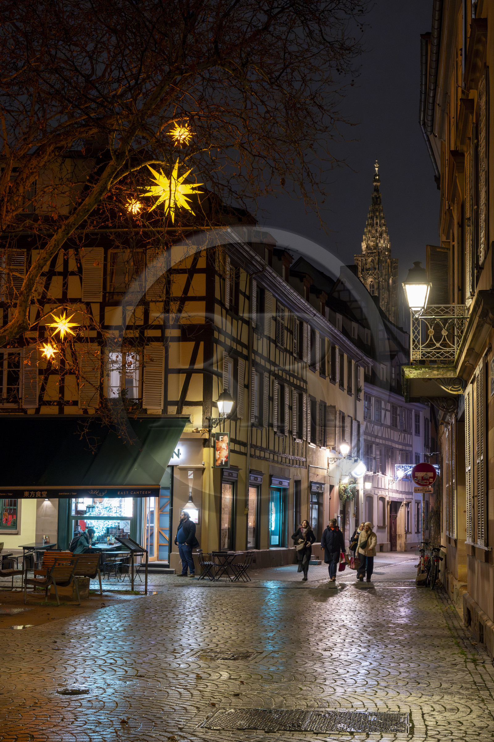 France, Bas-Rhin (67), Strasbourg, la rue Sainte-Madeleine avec les décorations de Noël et la cathédrale en arrière plan
