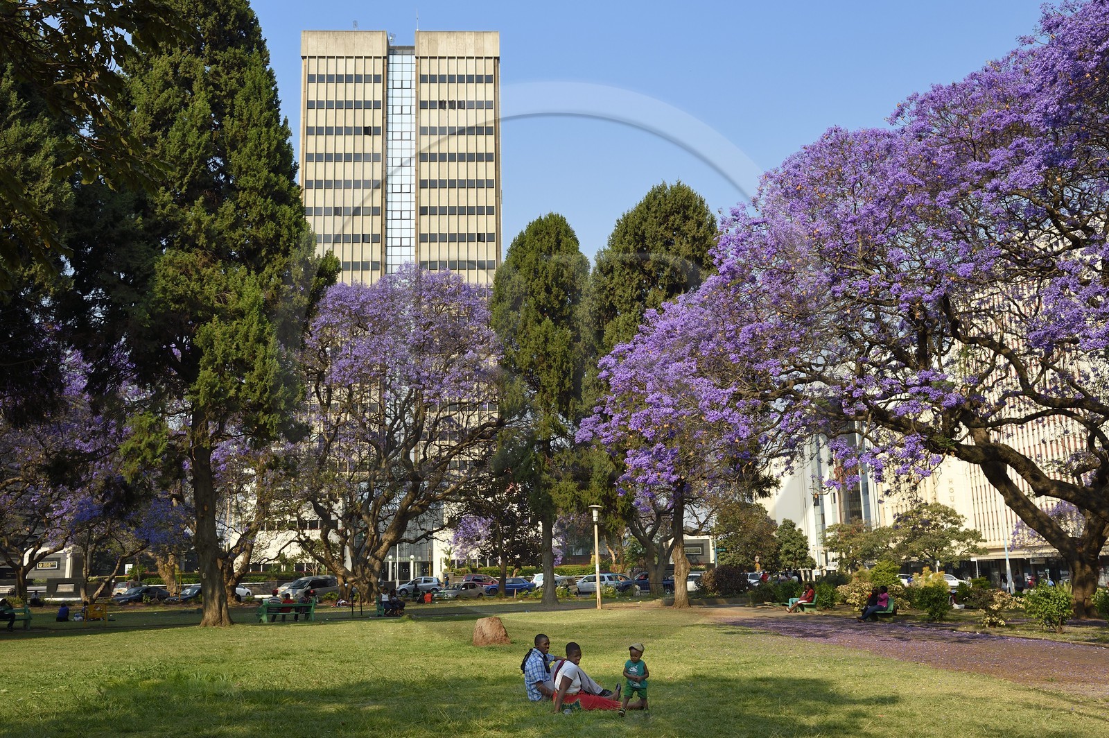 Zimbabwe, Harare, African Unity Square (anciennement Cecil Square)