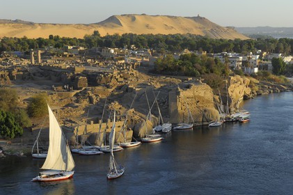 Egypte, Haute Egypte, Nubie, vallée du Nil, Assouan, Ile Elephantine,  site des fouilles archéologiques des temples de Satis et Khnoum, le Nilomètre sur la droite