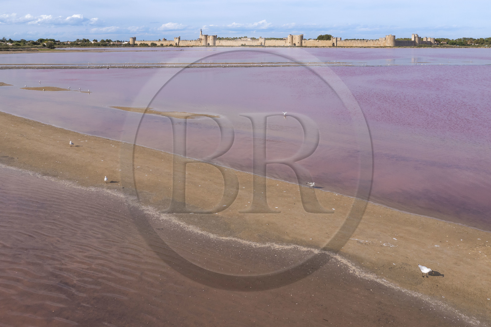 France, Gard (30), Aigues-Mortes, la ville médiévale entourée par ses remparts en bordure des marais salants (Salins du Midi) (vue aérienne)
