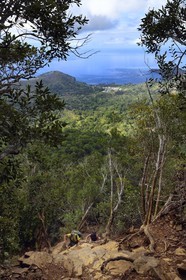 France, Mayotte island (French overseas department), Grande-Terre, Southern Crete Forest Reserve (Reserve Forestiere des Cretes du Sud) hikers climing at the summit of Mount Choungui (594 meters)