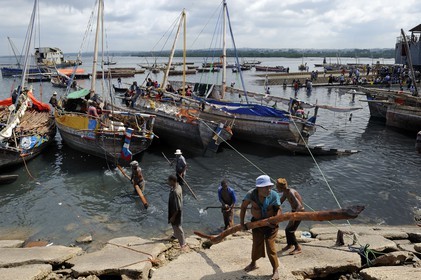Tanzania, Zanzibar Archipelago, Unguja island (Zanzibar), Stone Town, listed as World Heritage by UNESCO, dhows (traditional Arab sailing vessels) port, wood unloading