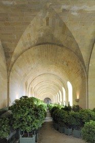 France, Yvelines, Chateau de Versailles, listed as World Heritage by UNESCO, Orangery by Jules Hardouin Mansart in Winter