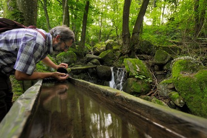 Germany, Black Forest, Schwarzwald, Baden-Württemberg, Sasbachwalden, succession of small waterfalls in the woods leading to Bischenberg summit