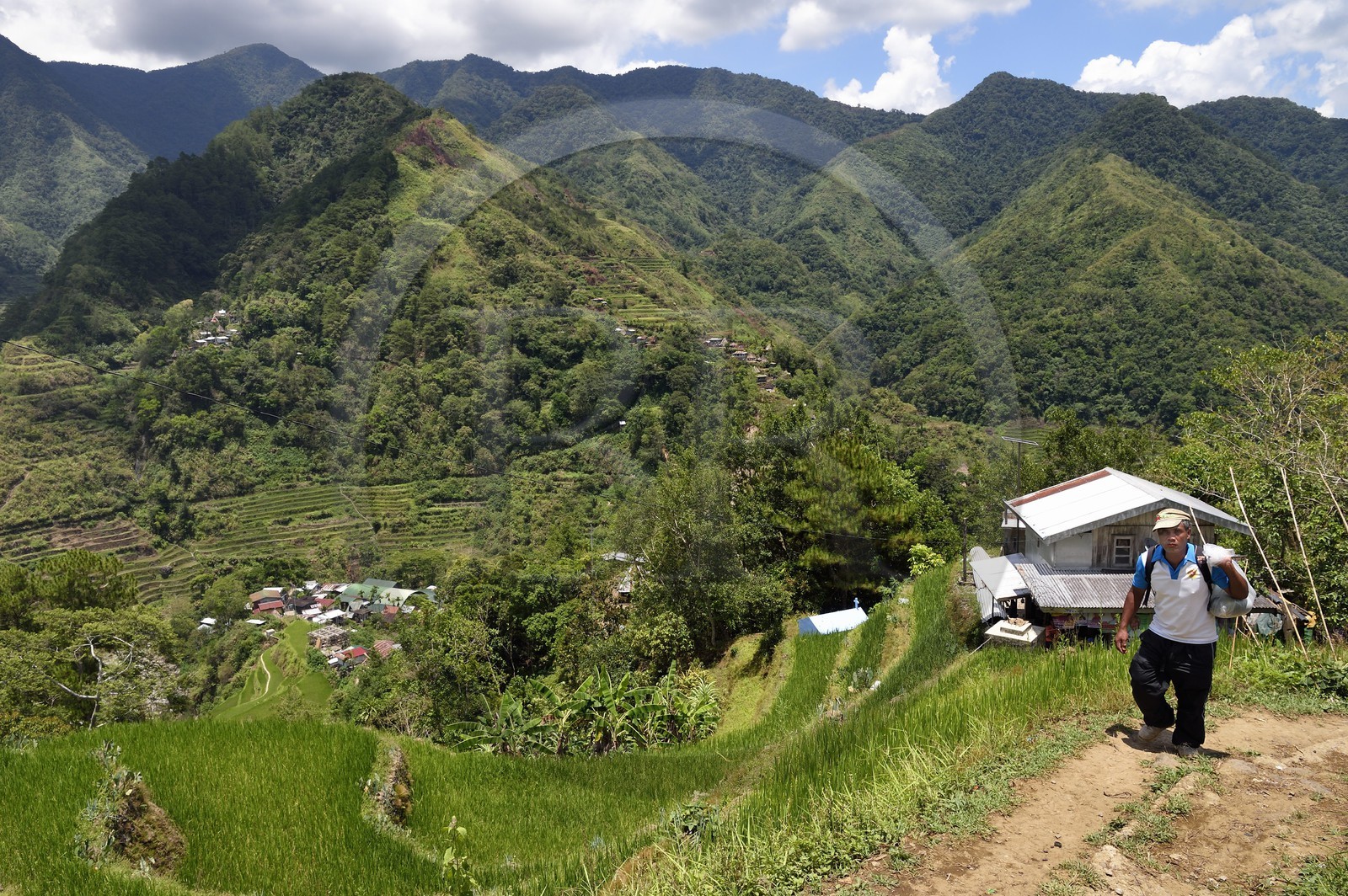 Philippines, Ifugao province, Banaue rice terraces, listed as World Heritage by UNESCO, fed by an ancient irrigation system from the rainforests above the terraces and the village of Cambulo