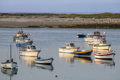 France, Finistère, Iroise Sea, Molene Island, the fishing boats are at anchor in the summer between the town and the Lédenez Vraz islet in the background