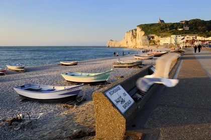 France, Seine-Maritime (76), Pays de Caux, Côte d'Albâtre, Etretat et sa plage, en arriere plan la falaise d'Amont et l'église Notre-Dame-de-la-Garde